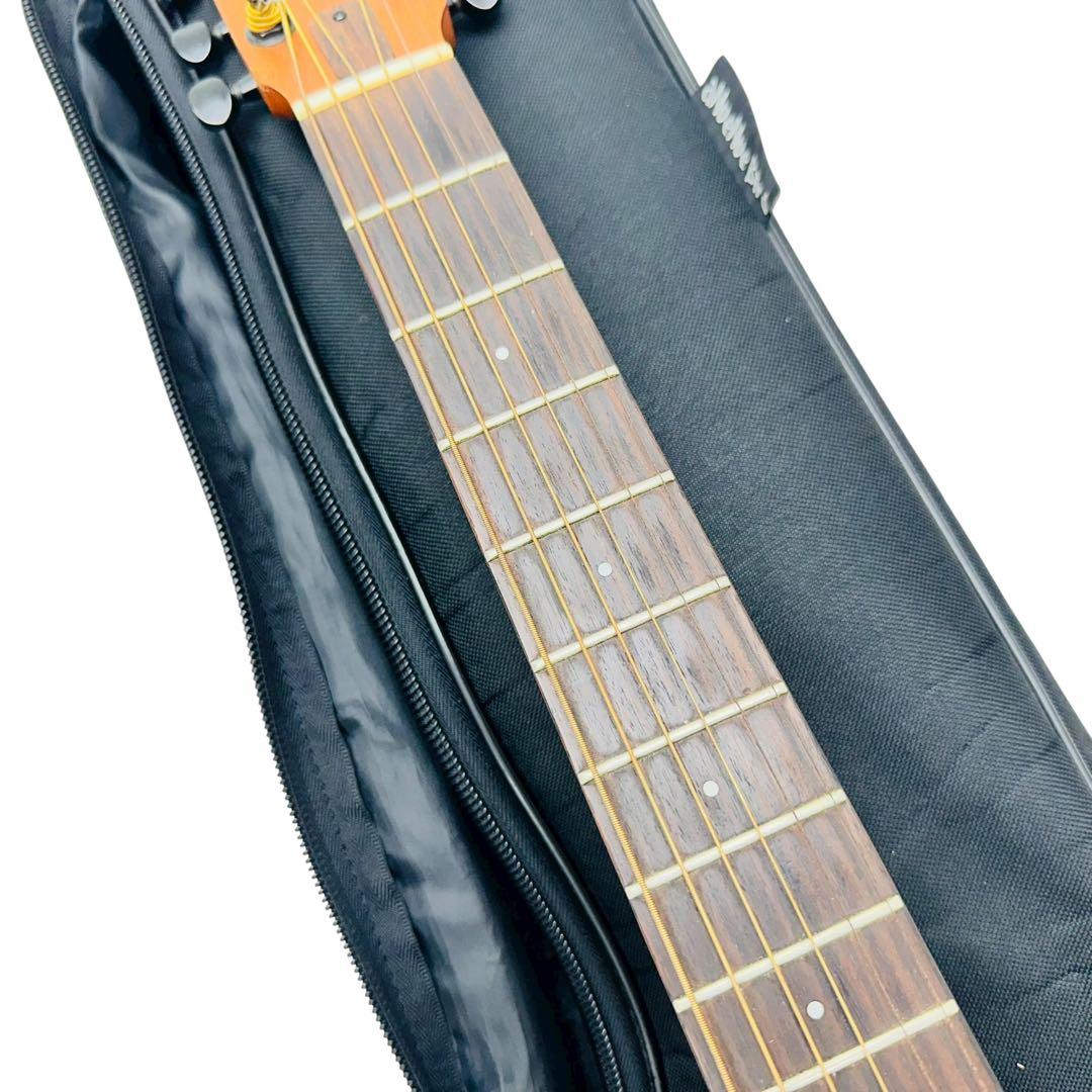 aNueNue aNN-M2 BirdGuitar ミニアコースティックギター