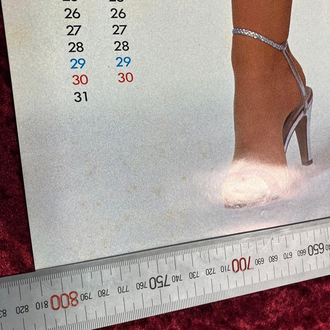 ピンクレディー　シャワラン ビューティ シャンプー & リンス ポスター