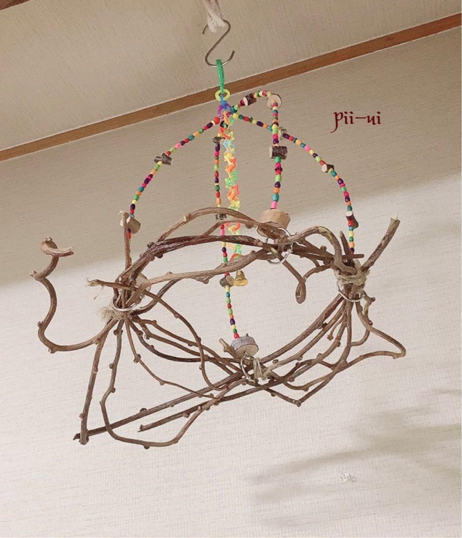 カラフルウッドブランコ♪キウイのツルஐ