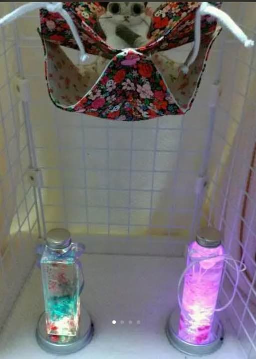 モモンガハウス(パンダ・花柄)天窓枠ピンク 春(夏)秋仕様