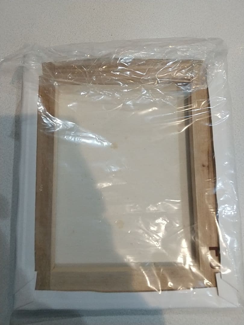 劇場版PSYCHO-PASS サイコパス キャンバスアート 塩谷直義 狡噛慎也