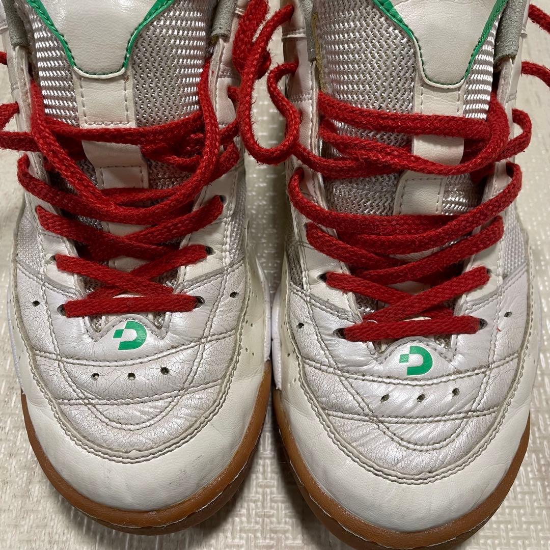 Desporte テッサライトID PROⅡ