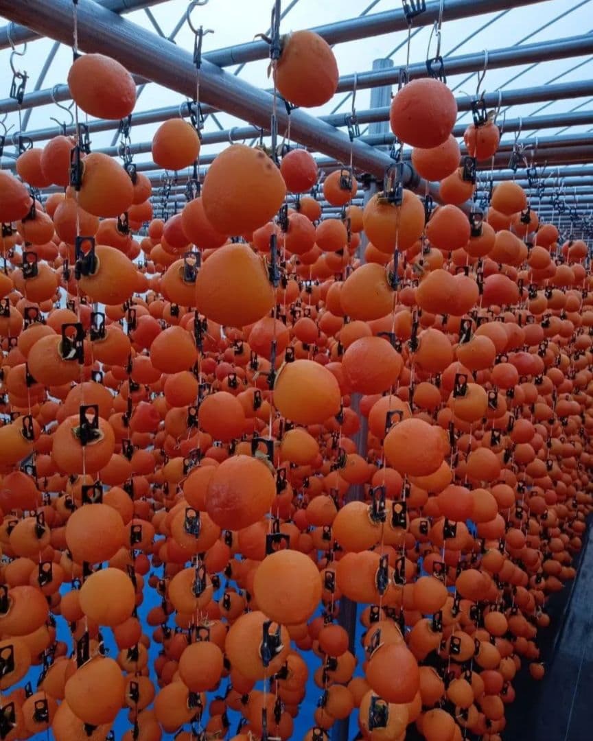 市田柿袋詰め500gGIマーク固め×６袋