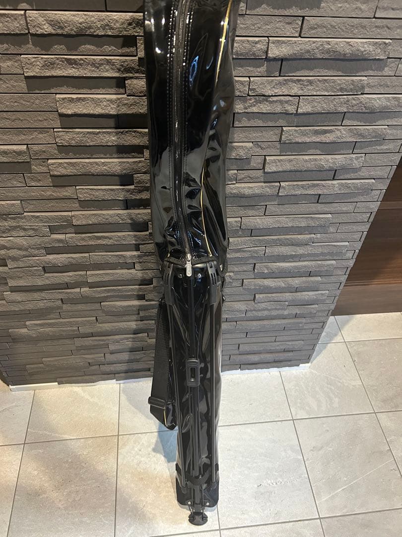 ダンスウィズドラゴン　セルフスタンドバック