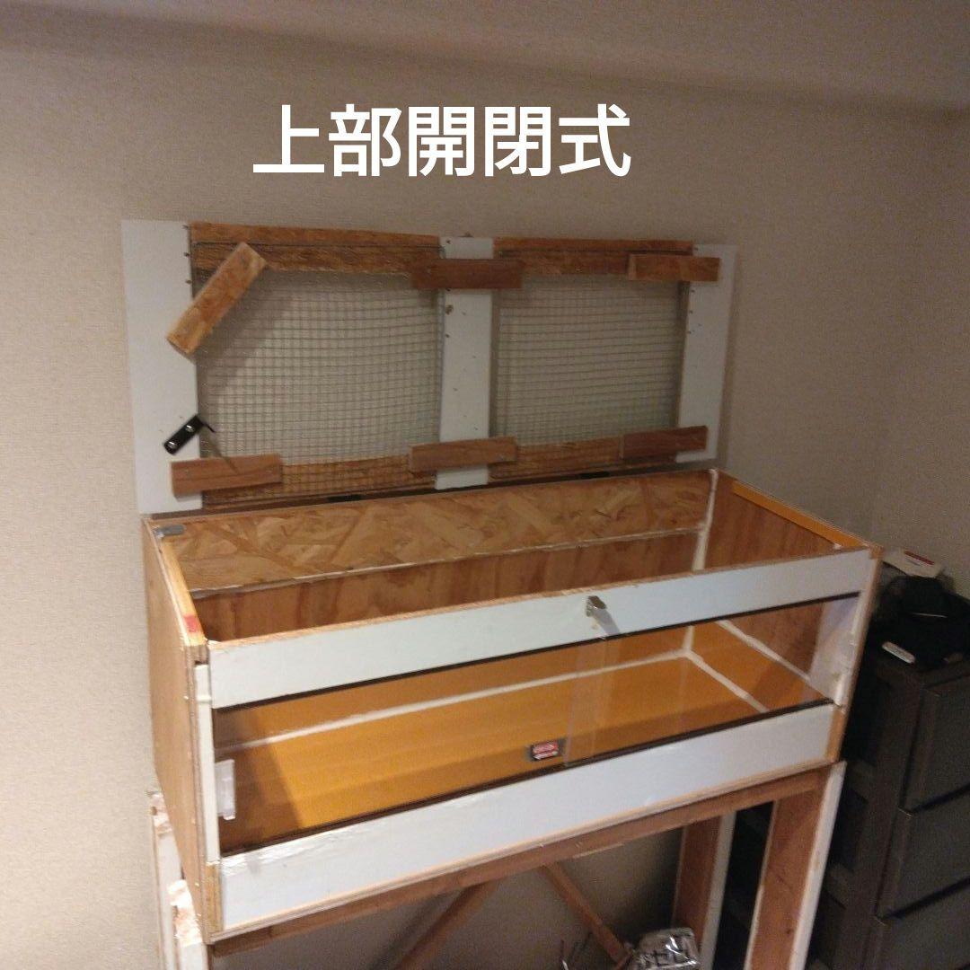 今期ラスト！自作爬虫類ケージ飼育セット