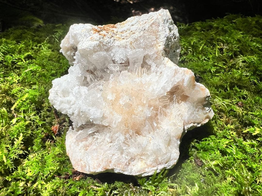 龍脈の精髄 水晶 魂を導く結晶の花 売上一部保護猫活動に使用