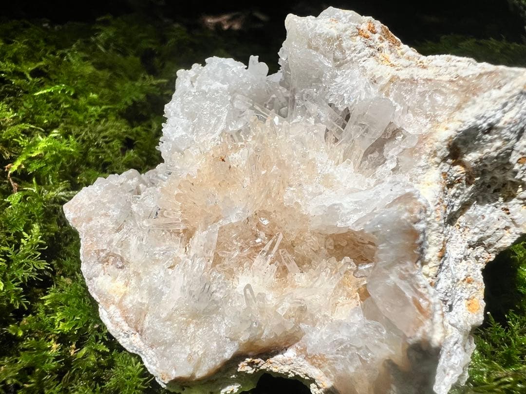 龍脈の精髄 水晶 魂を導く結晶の花 売上一部保護猫活動に使用