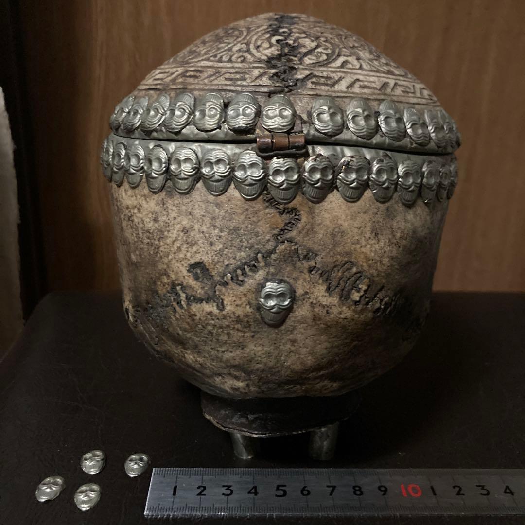 チベタンスカル　頭蓋骨