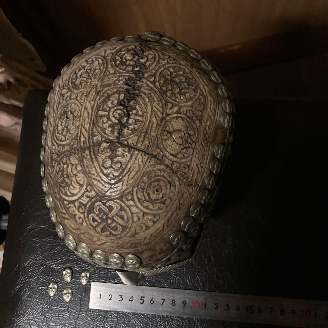 チベタンスカル　頭蓋骨