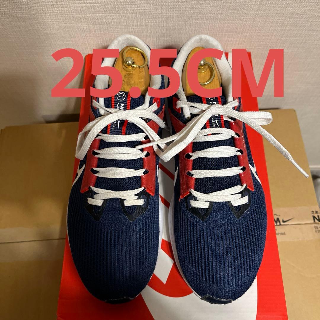 【希少】25.5CM値下げ　限定Nike Pegasus 40 PSG