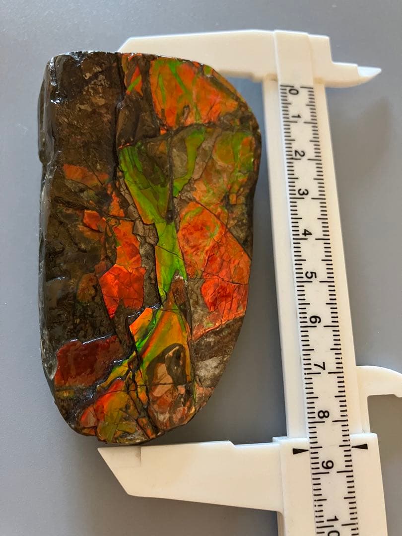 カナダ産　アンモライト　化石　原石　幅8.5cm 箱付き