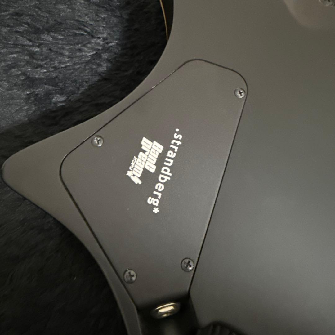 最終価格 Strandberg Boden RAS6 朝日六花モデル