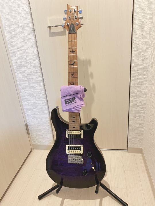 ギター ESP custom