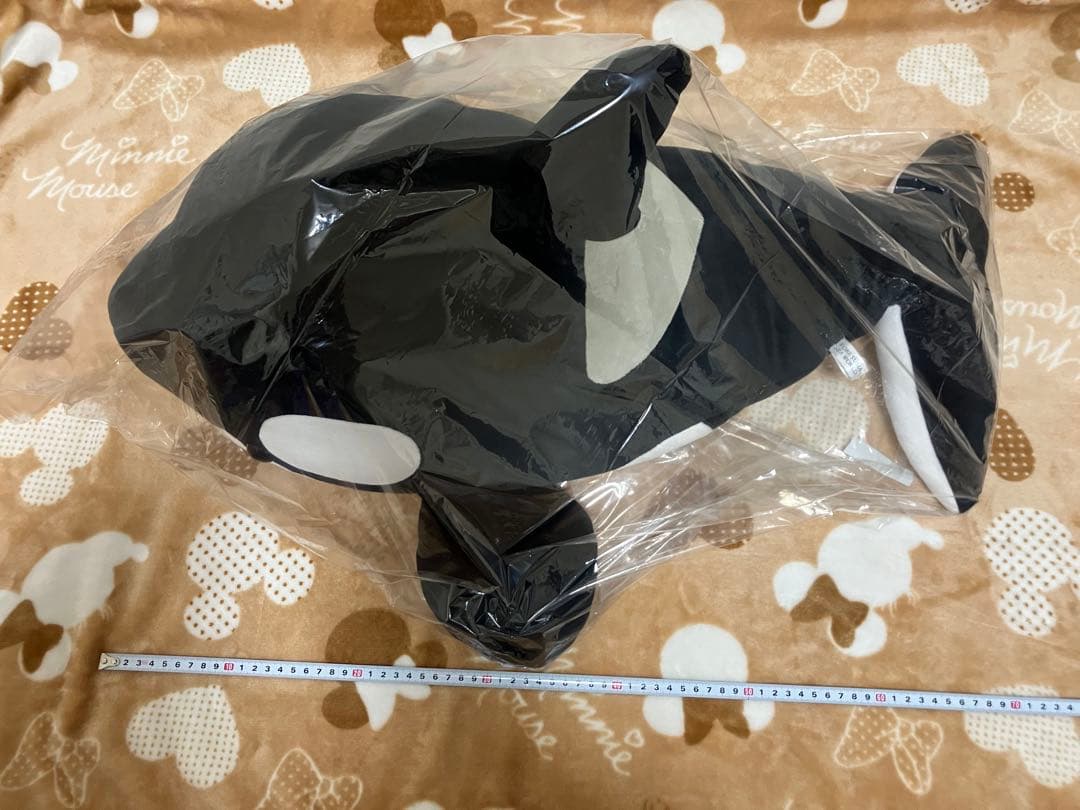 須磨シーオルカくじ1等&2等！