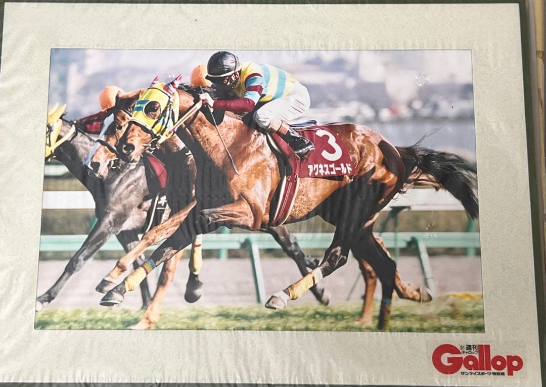 アグネスゴールド 週刊 Gallop 限定パネル