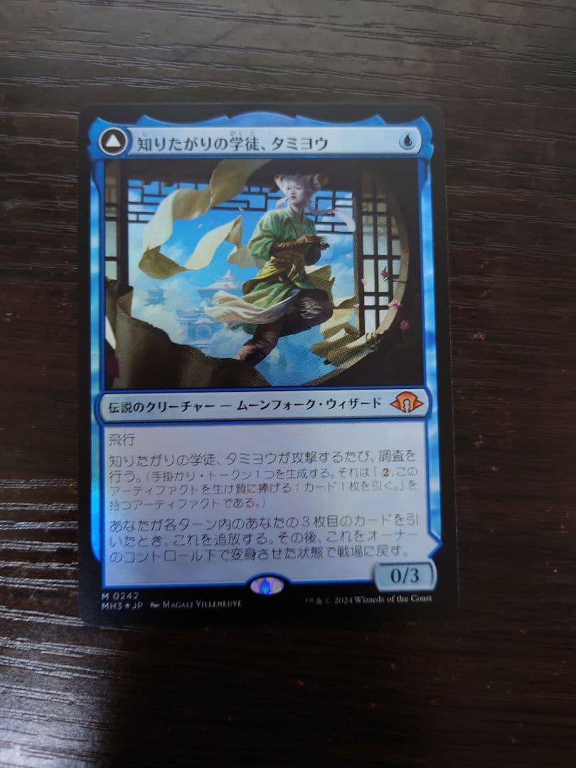 知りたがりの学徒、タミヨウ 日本語 foil