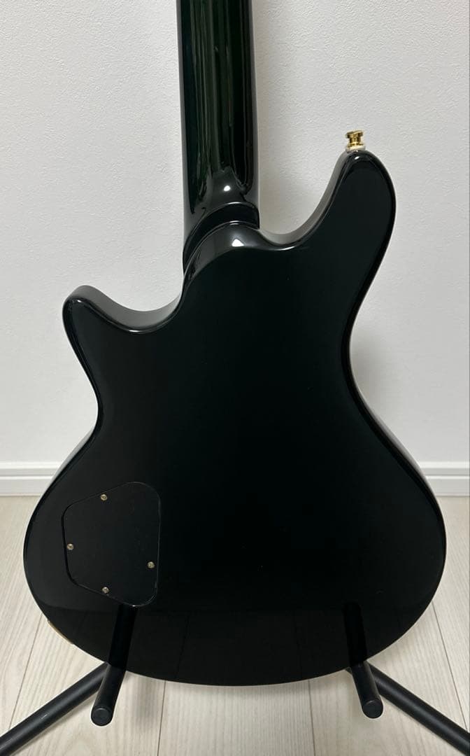 羽*山様 Edwards E-U-HL2 緑 麗 the GazettE