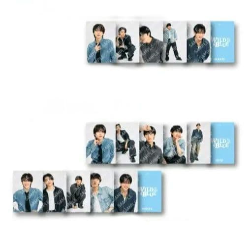 WILDBLUE 山下幸輝 宮武颯 鈴直弥 池田優斗 鈴陽向トレカ 1部コンプ