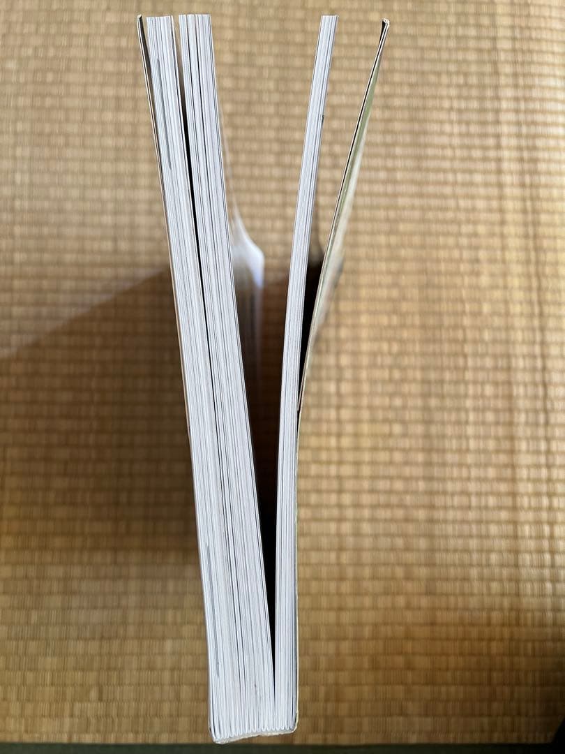 藤田嗣治の画集