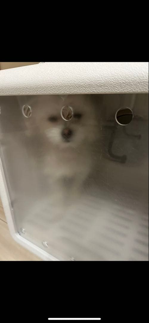 ペット用ドライヤーボックス ドライルーム