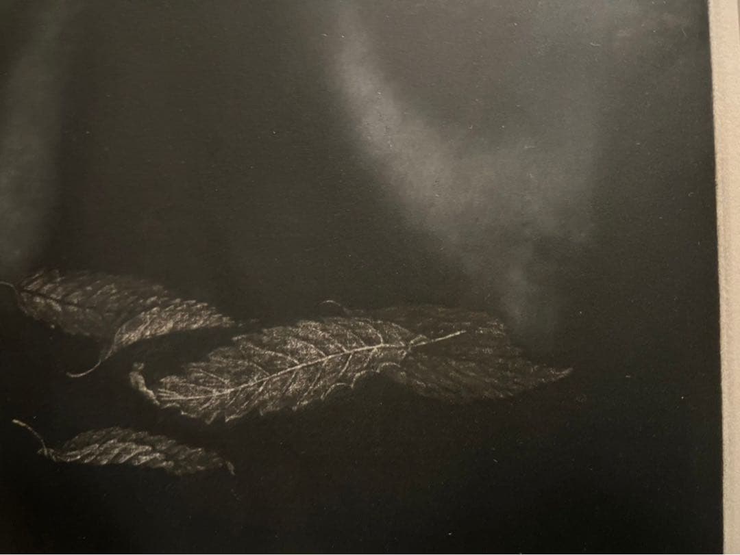 丹阿弥丹波子 リトグラフ NIWAKO TAN-AMI銅版画 直筆サイン 額縁