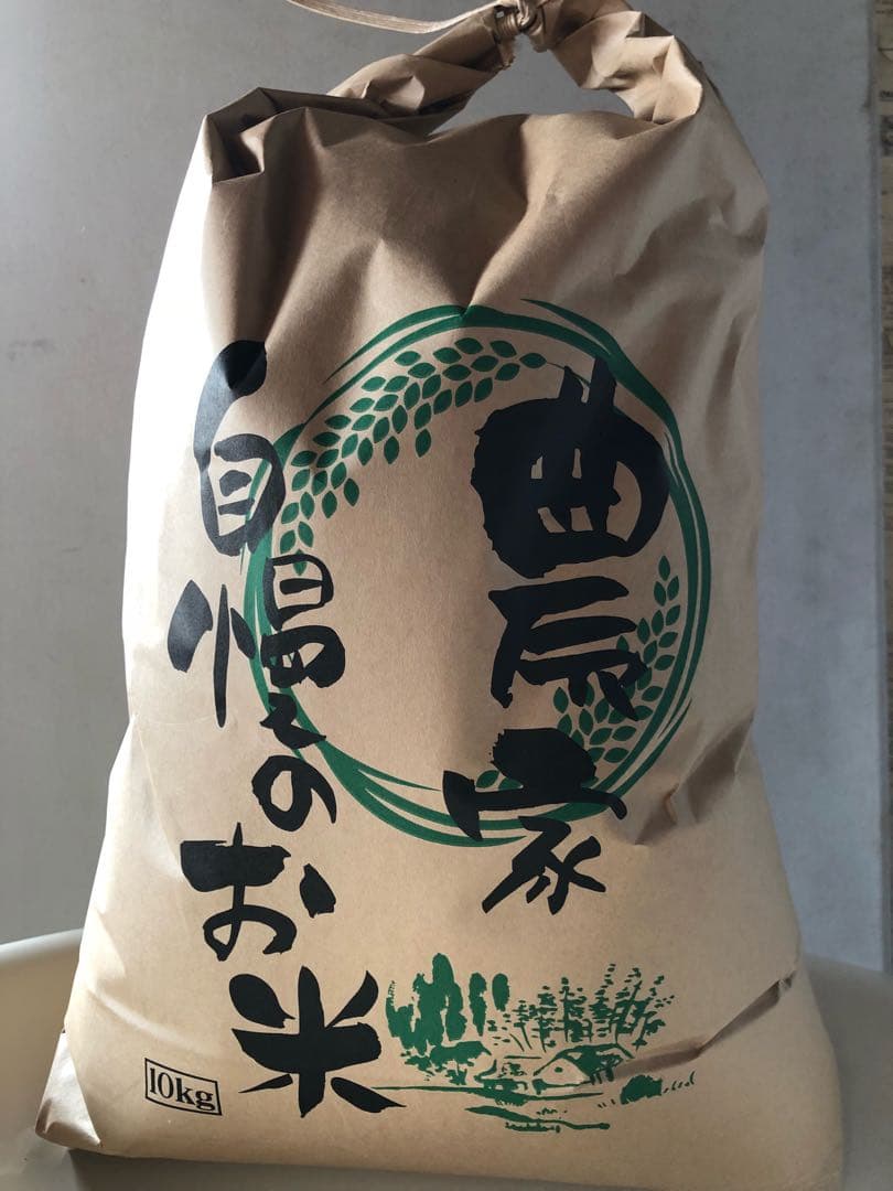 コシヒカリ玄米10kg 令和7年夏収穫分　三重県から発送　健康食　腸活