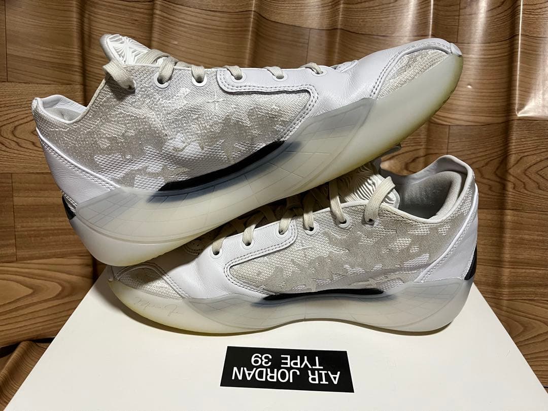 シューズ(男性用) AIR JORDAN 39