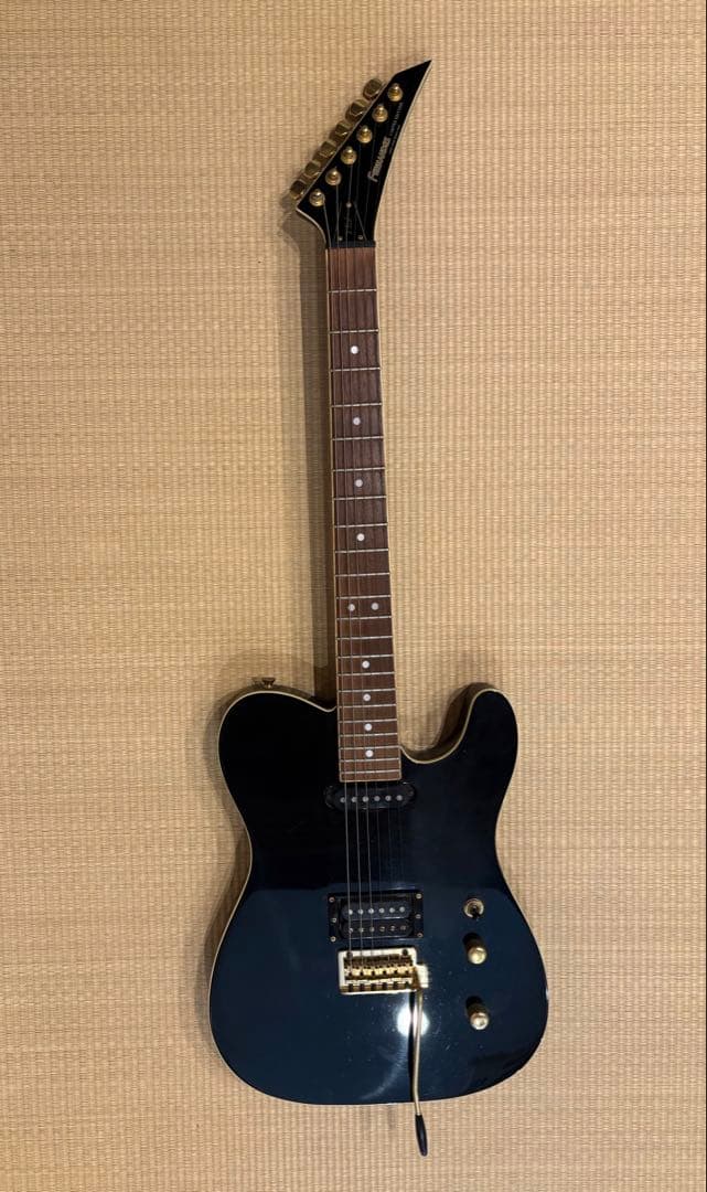 FERNANDES TEJ-55G リミテッドエディション