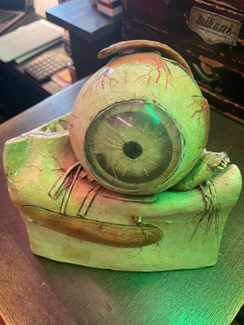 眼球医療用模型