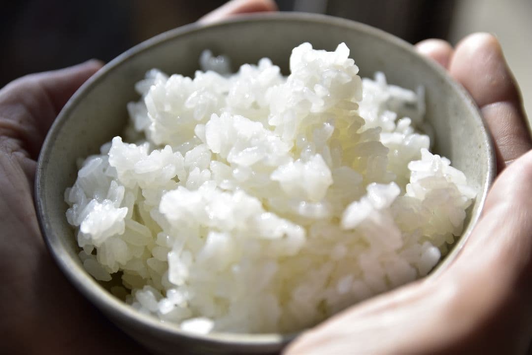 無農薬米 １０キロ佐渡コシヒカリ玄米