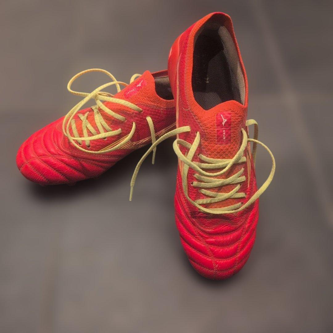 モレリアネオ4β　24cm　フェアリーコーラル×ボルト