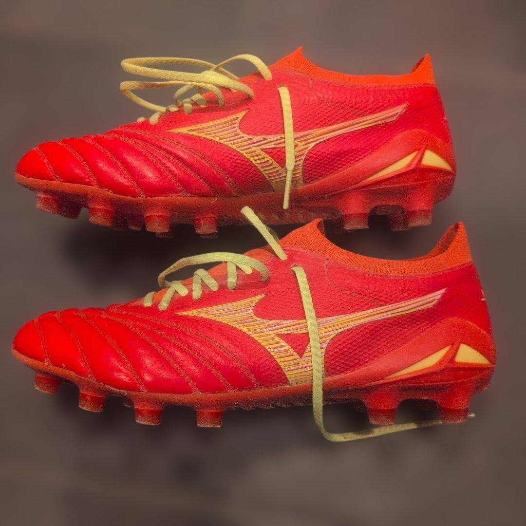 モレリアネオ4β　24cm　フェアリーコーラル×ボルト