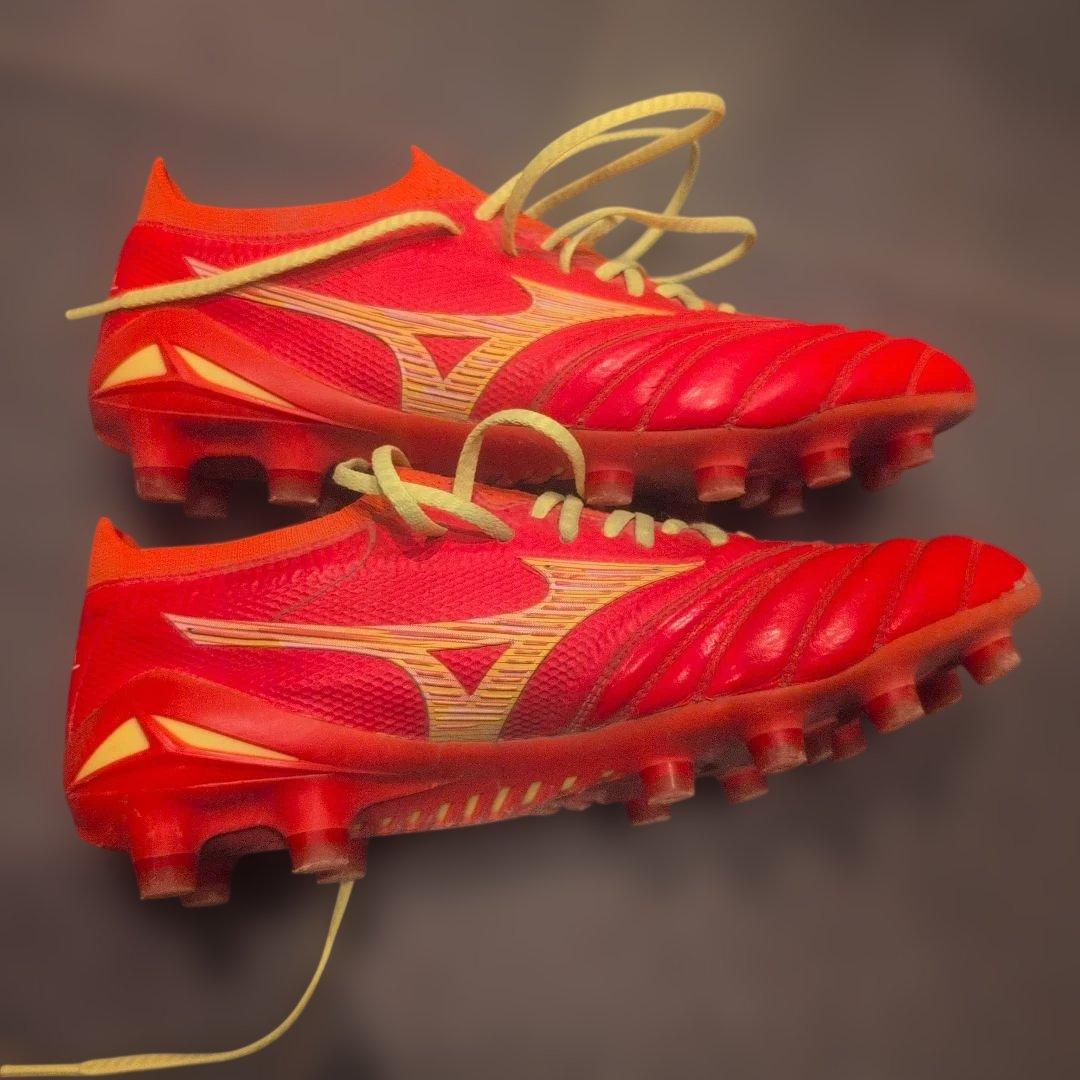 モレリアネオ4β　24cm　フェアリーコーラル×ボルト