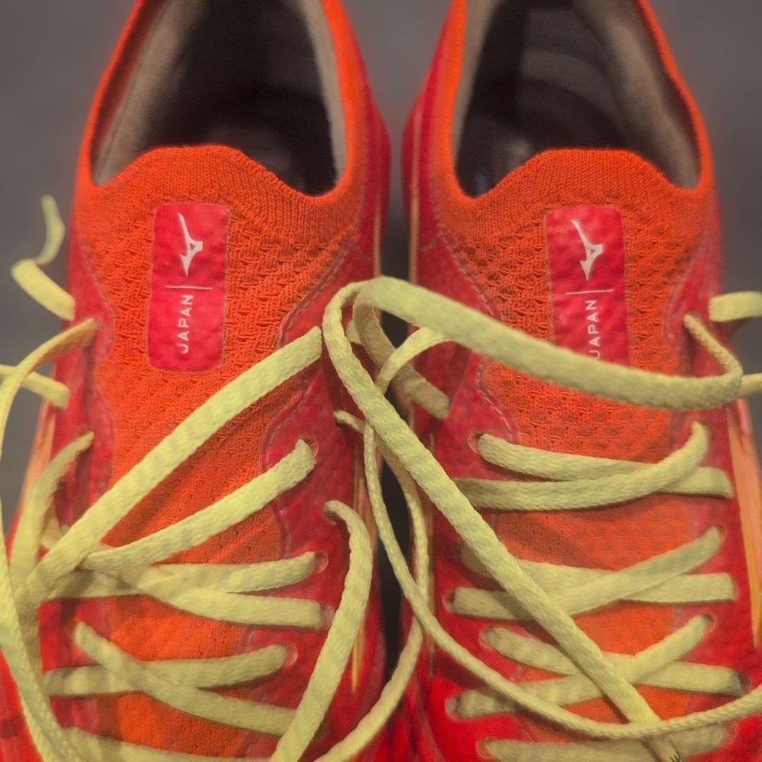 モレリアネオ4β　24cm　フェアリーコーラル×ボルト