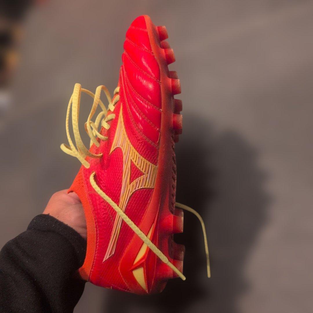 モレリアネオ4β　24cm　フェアリーコーラル×ボルト