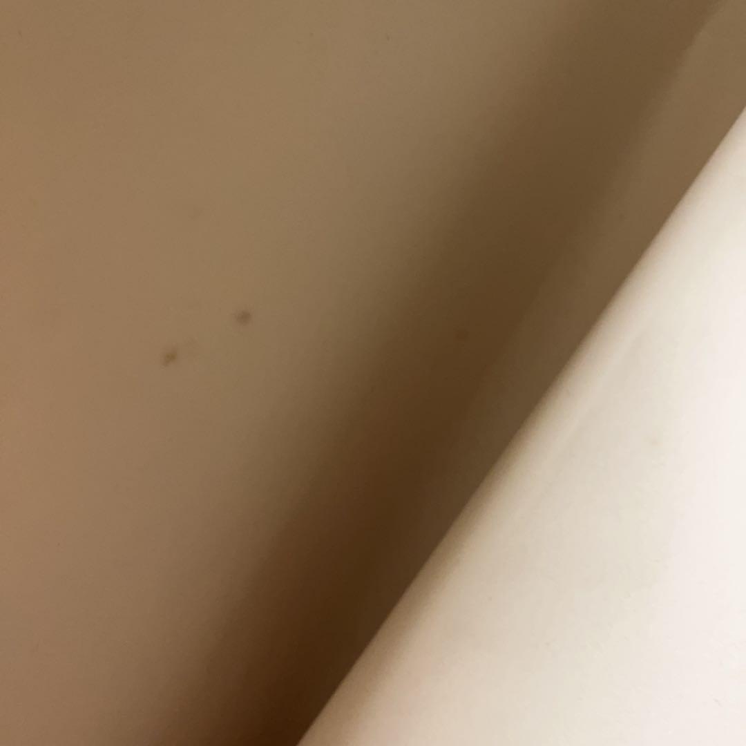 蘭亭牌　四尺単宣100枚4反　お値下げ中