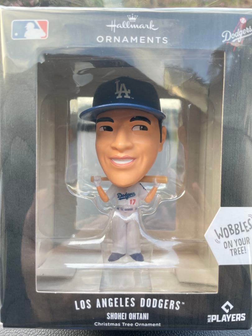 大谷恭平ボベルヘット