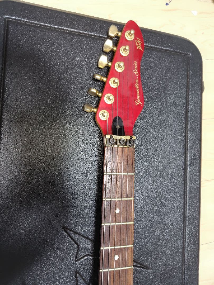 peavey usa genarationシリーズS-2