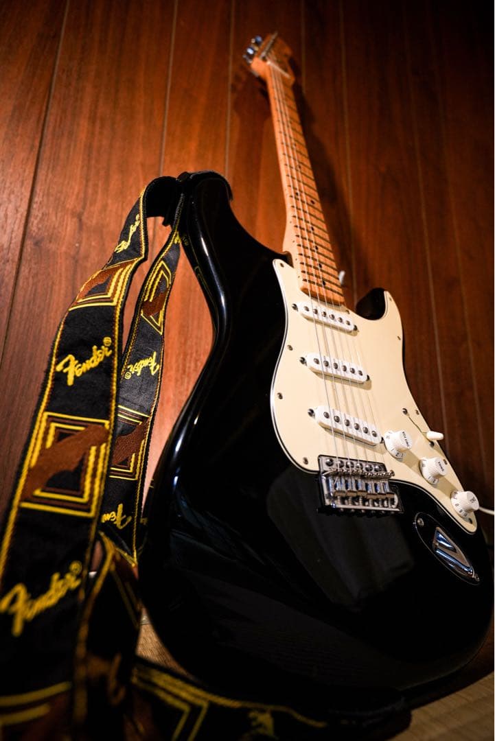 ギター Fender Standard Stratocaster Black