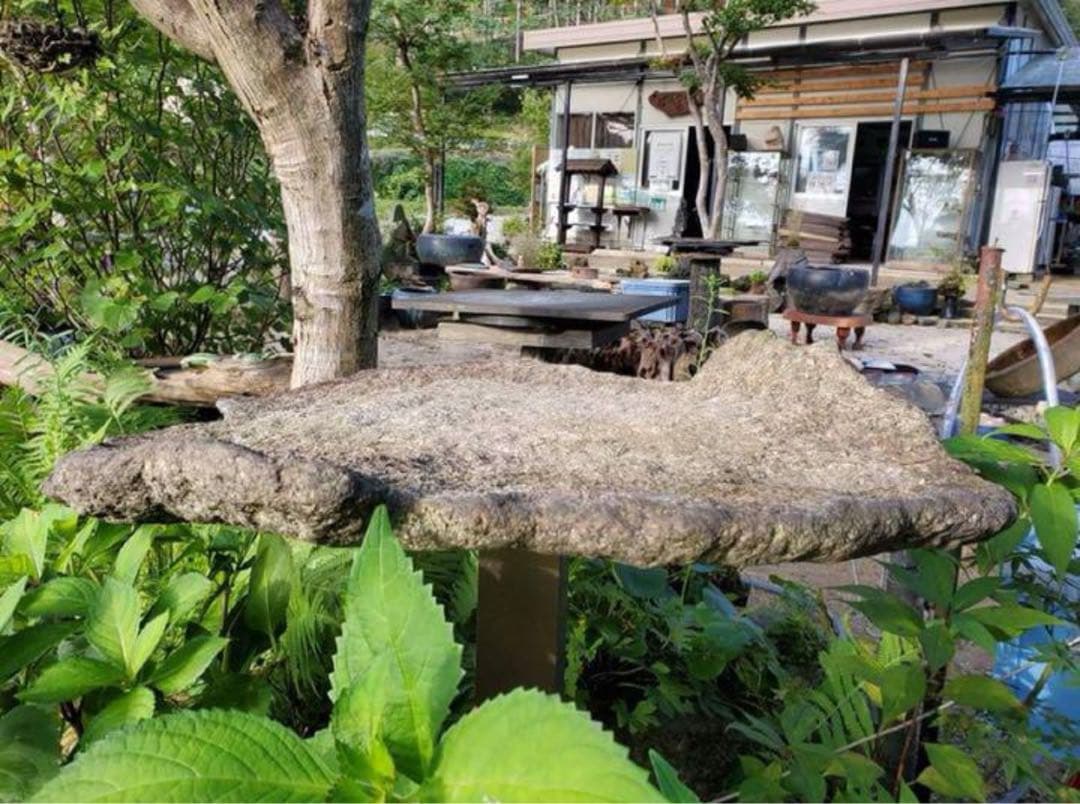 （み148）自然石、平石　盆栽鉢　料理の盛り付け