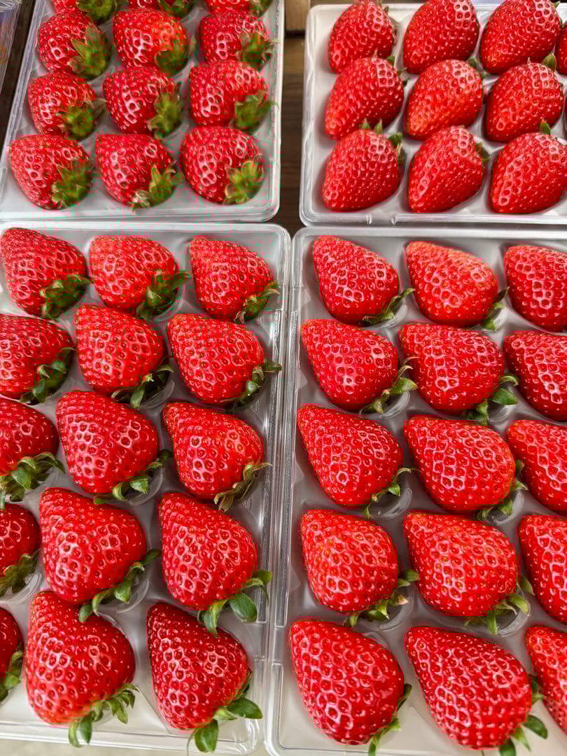 埼玉県プレミアムいちご あまりん 4パック入り