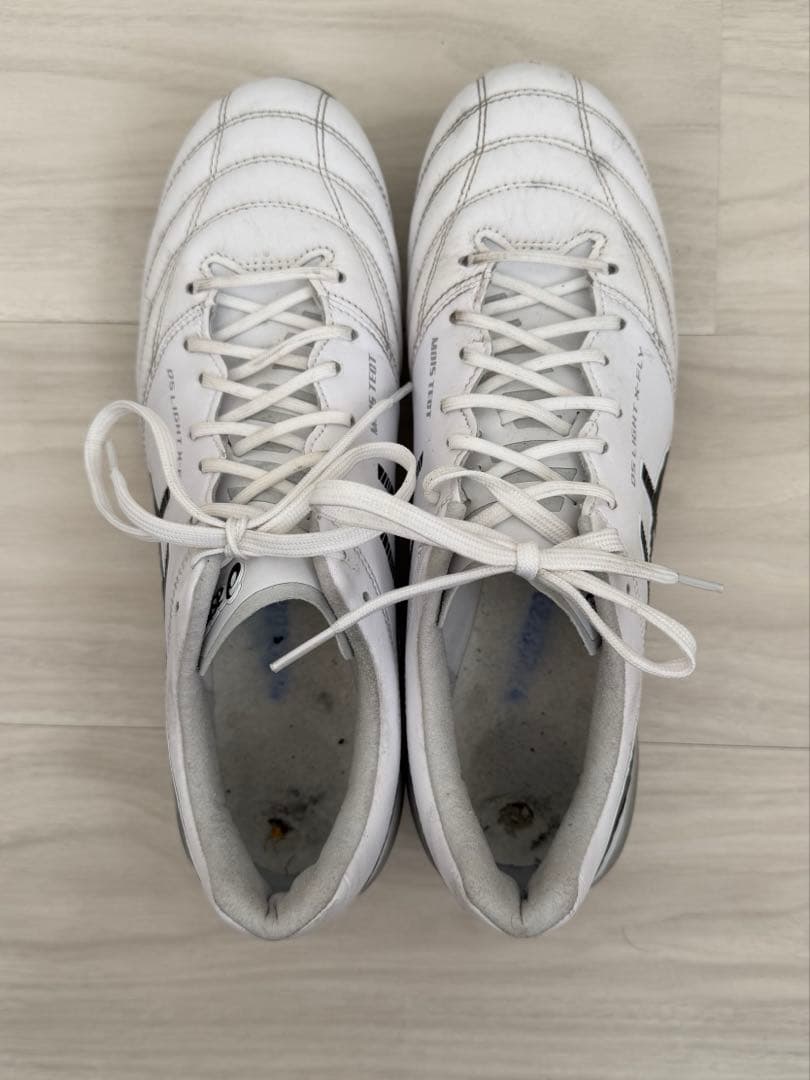 アシックス　DS LIGHT X-FLY 5 26.5cm