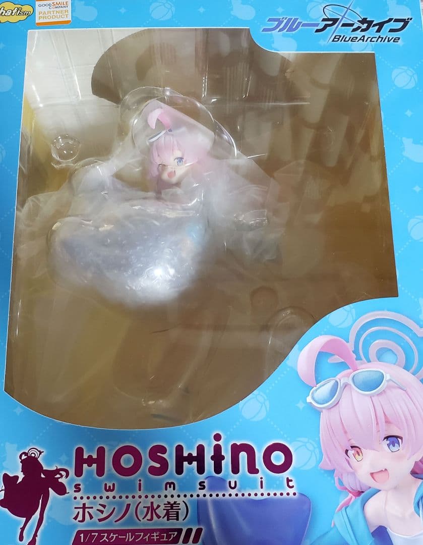 ファットカンパニー ホシノ 水着 1/7