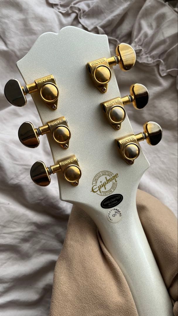 ギター Epiphone WILDKAT