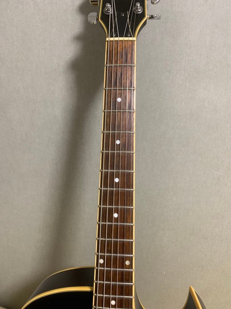 Ibanez ARTCORE AK80-DVF-12-01 フルアコ