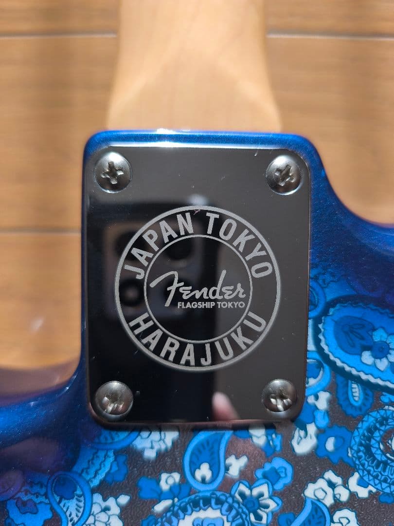 ✭Fenderペイズリーストラトキャスター