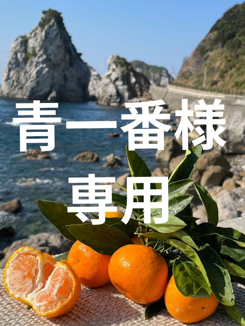 和歌山県由良町産　ポンカン　10kg