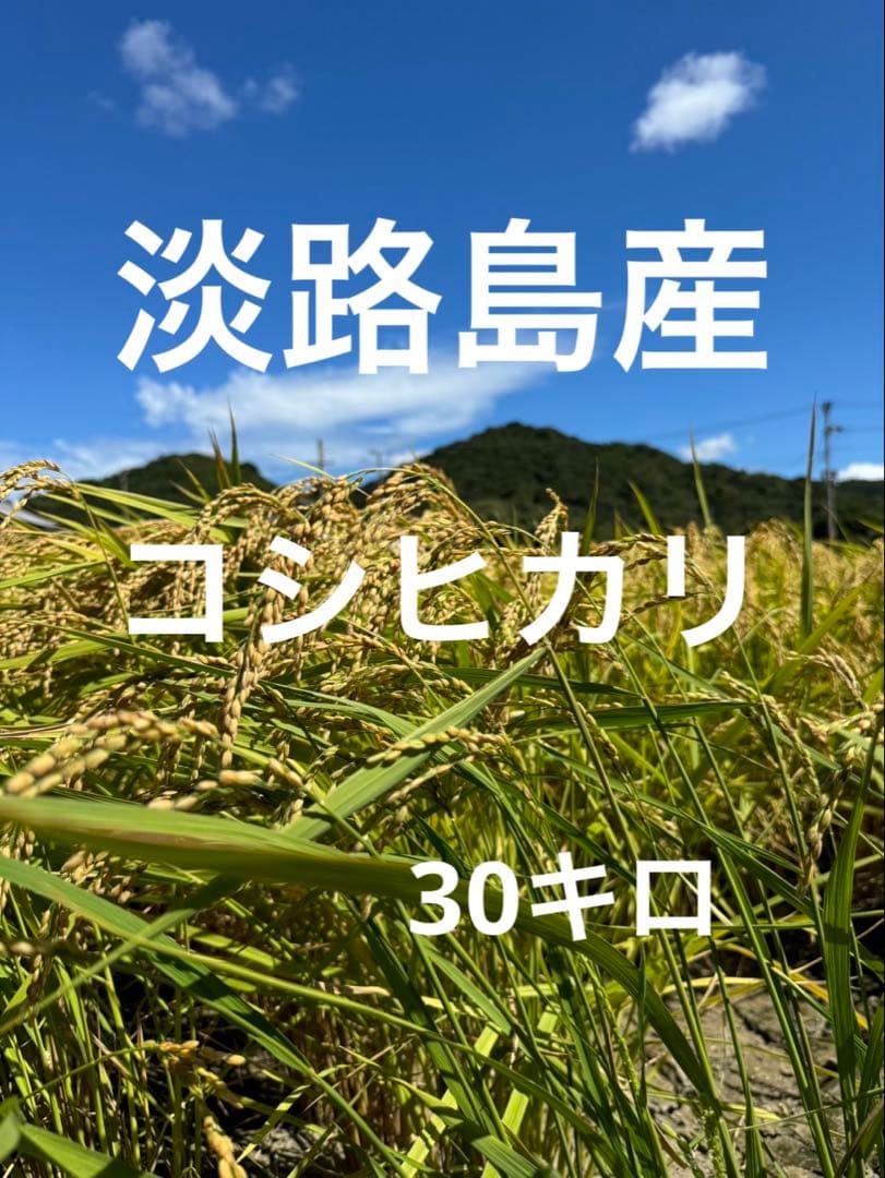 令和6年度新米 30キロ