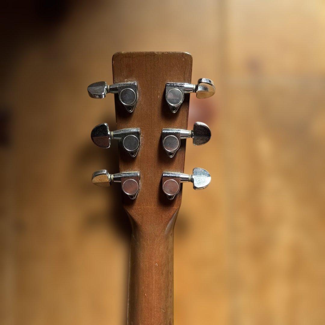 キャッツアイ　CE250ST