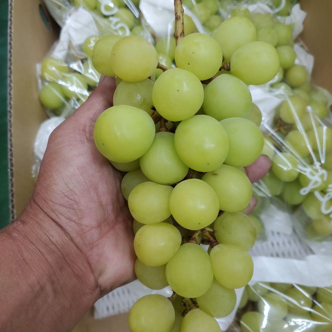 2️⃣ 山梨県産 シャインマスカット １１房入り 箱込み5.5キロ